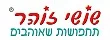 שושי זוהר