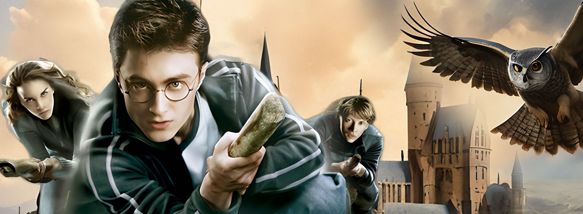 Harry Potter - מוצרי הארי פוטר