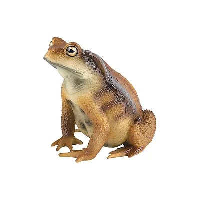 פסלון קרפדה