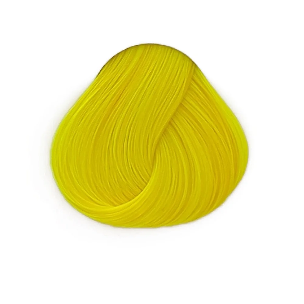 צהוב זועק - BRIGHT DAFFODIL צהוב זועק - BRIGHT DAFFODIL