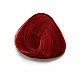 צבע אדום מזמר - VERMILION RED צבע אדום מזמר - VERMILION RED