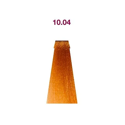 10.04