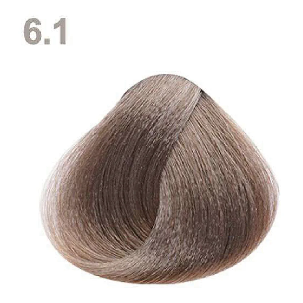 6.1