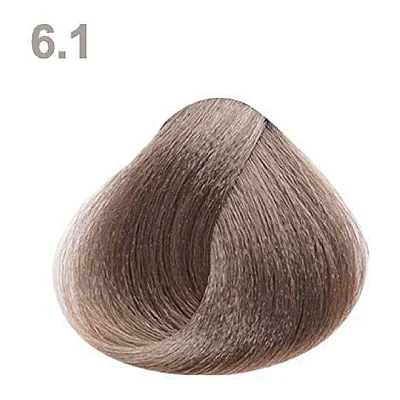 6.1