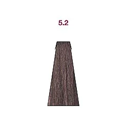 5.2