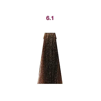 6.1