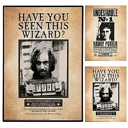 תמונת תלת מימד - הארי פוטר/סיריוס בלאק