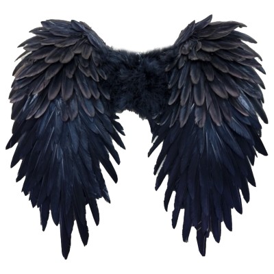 כנפי מלאך עשירות 46x43 ס״מ - שחור