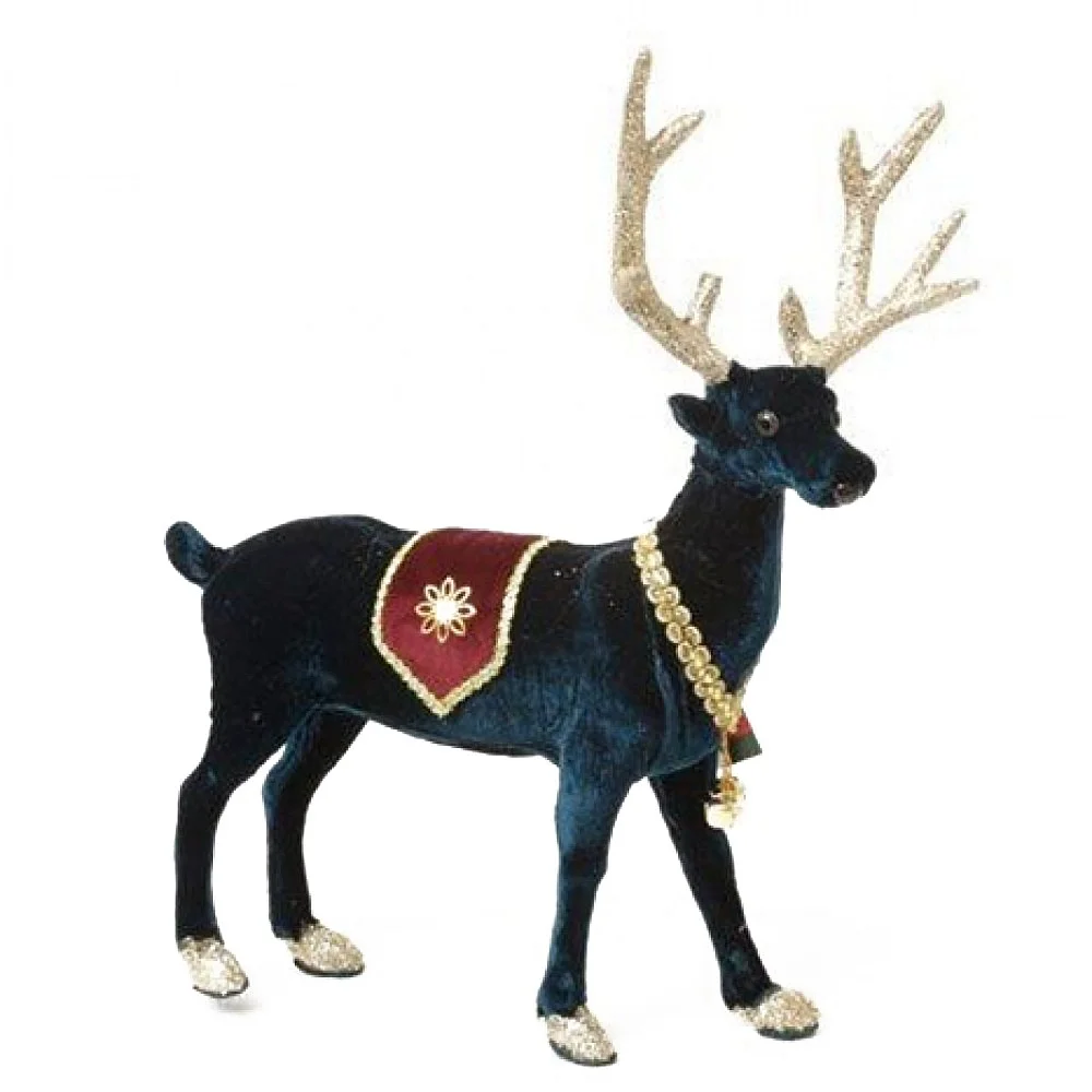 אייל חגיגי טורקיז  אייל חגיגי טורקיז