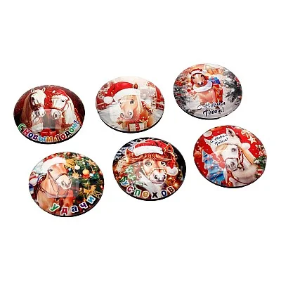 מגנט סוס 30/ (5x5 ס"מ)