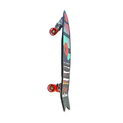 Caster Surf board Best View