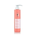 שמפו לשיער צבוע ויבש -  Color Therapy Shampoo