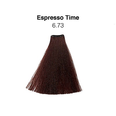 6.73 - Dark Chocolate Blond