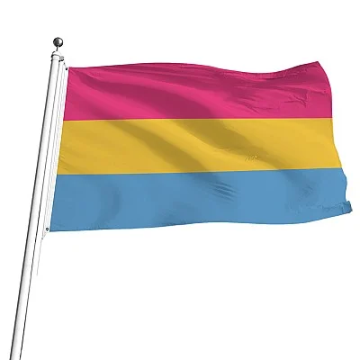 דגל גאווה גדול פאנסקסואל