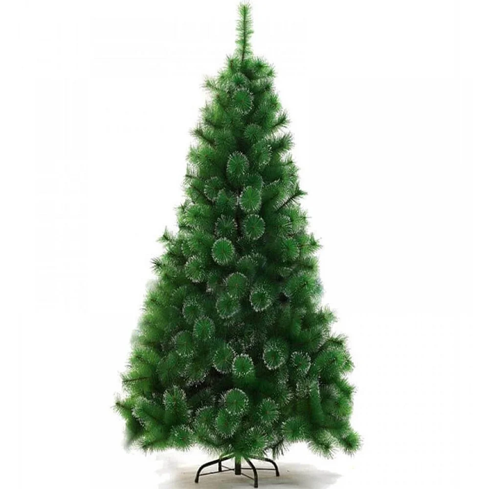 עץ אשוח 3.00 מ\' מושלג