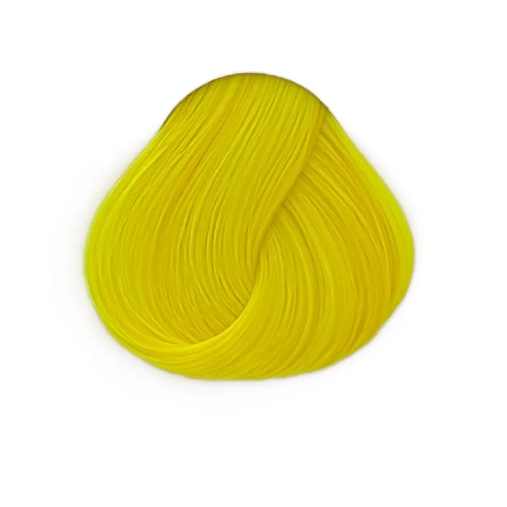 צהוב זועק - BRIGHT DAFFODIL