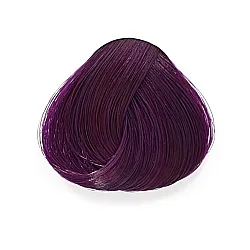 צבע סגול שזיף - PLUM