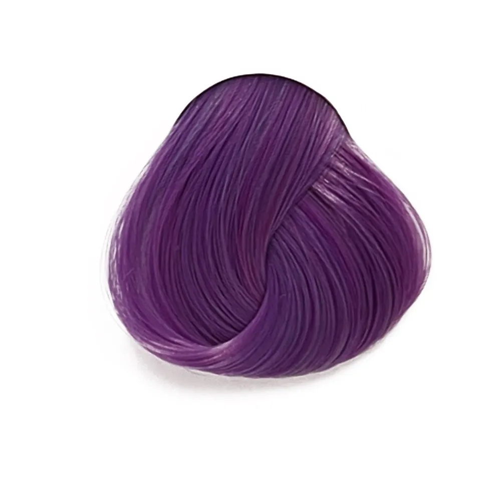 צבע ויסטריה - WISTERA