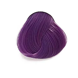 צבע ויסטריה - WISTERA