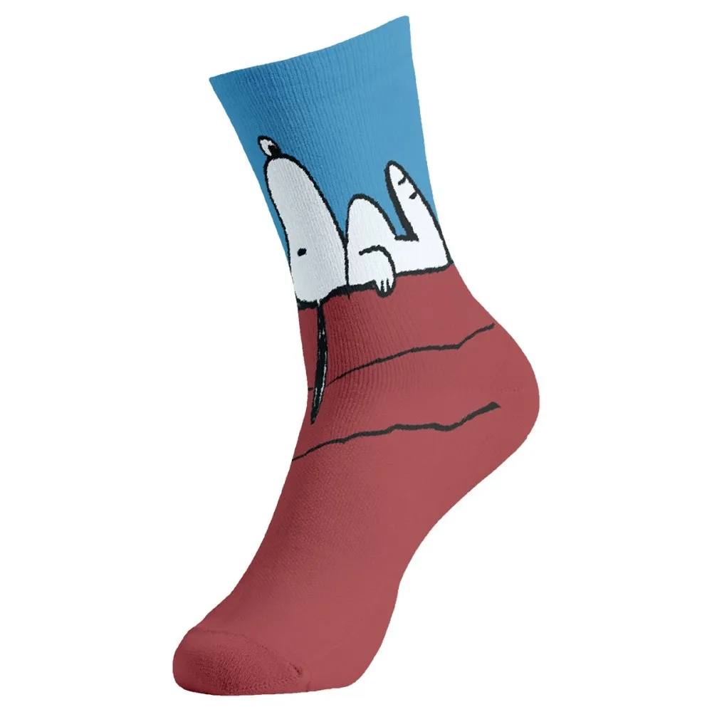 גרביים צבעוניות - סנופי על הגג