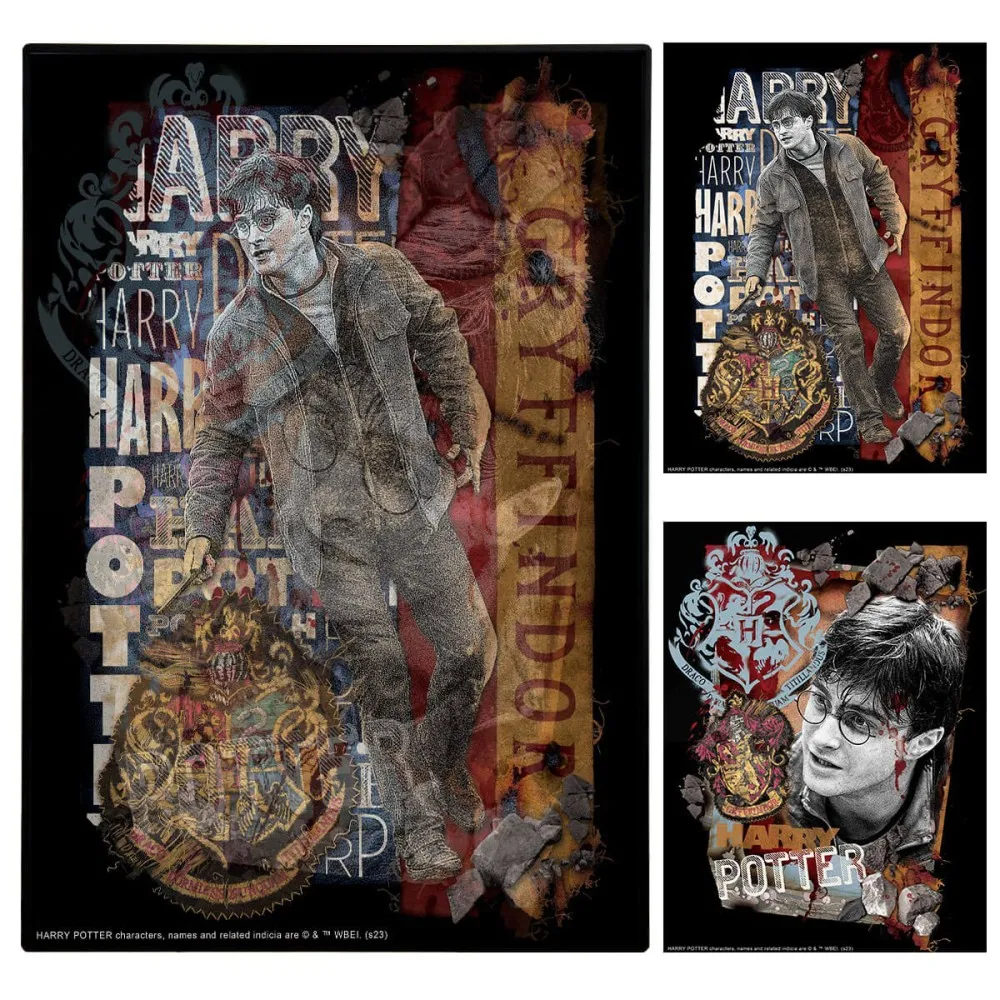 תמונת תלת מימד - הארי פוטר דגם 3