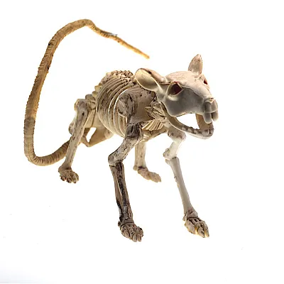 שלד עכברוש להלוואין