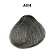 צבע שיער אש ASH