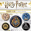 סט סיכות הארי פוטר - הוגוורטס