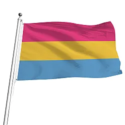 דגל גאווה גדול פאנסקסואל