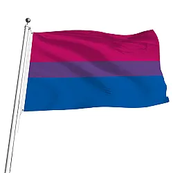 דגל גאווה גדול ביסקסואל