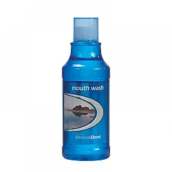 מי פה עשירים  במינרלים מים המלח