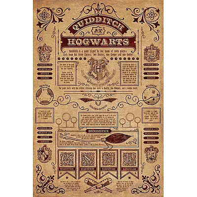 פוסטר קווידיץ' בהוגוורטס