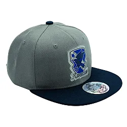 כובע הארי פוטר רייבנקלו Snapback בסטייל אישי