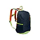 REBEL 10L DAYPACK