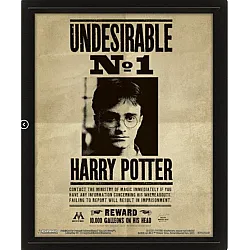 תמונה מהודרת הארי פוטר-סיריוס בלאק 3D