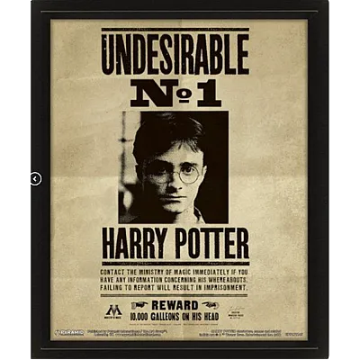 תמונה מהודרת הארי פוטר-סיריוס בלאק 3D